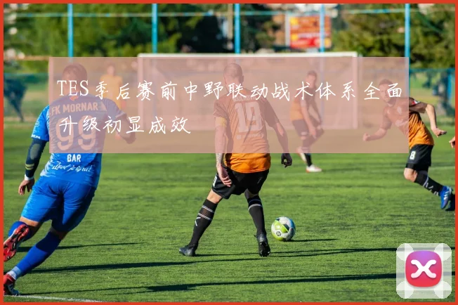 TES季后赛前中野联动战术体系全面升级初显成效